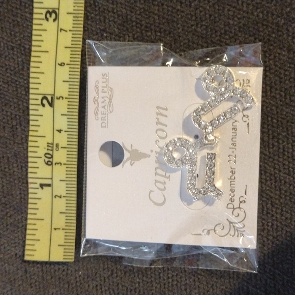 Silver Tone Rhinestone Capricorn Astrology earrings - Picture 2 of 2